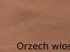 orzech włoski